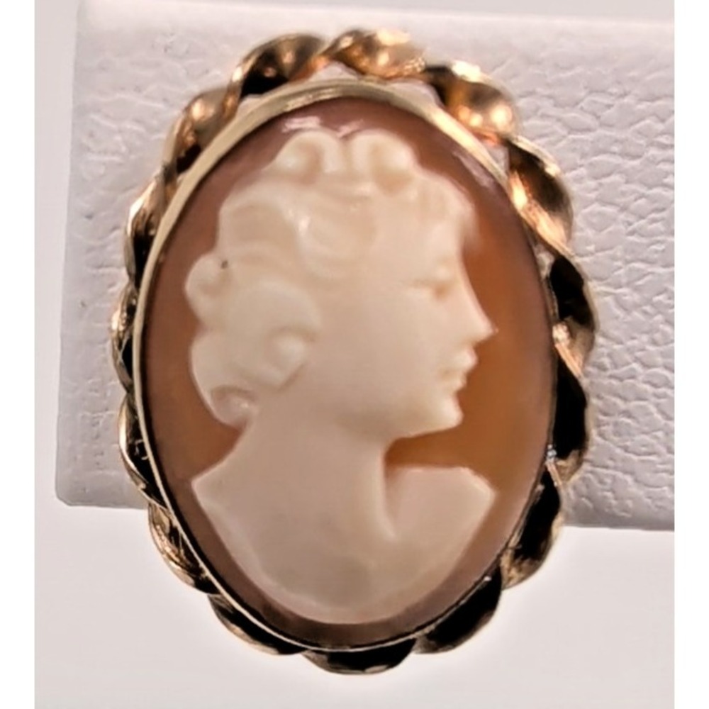 Vintage Van Dell 1/20 12K GF Gold Filled Carved Shell Cameo Screw Back Earrings